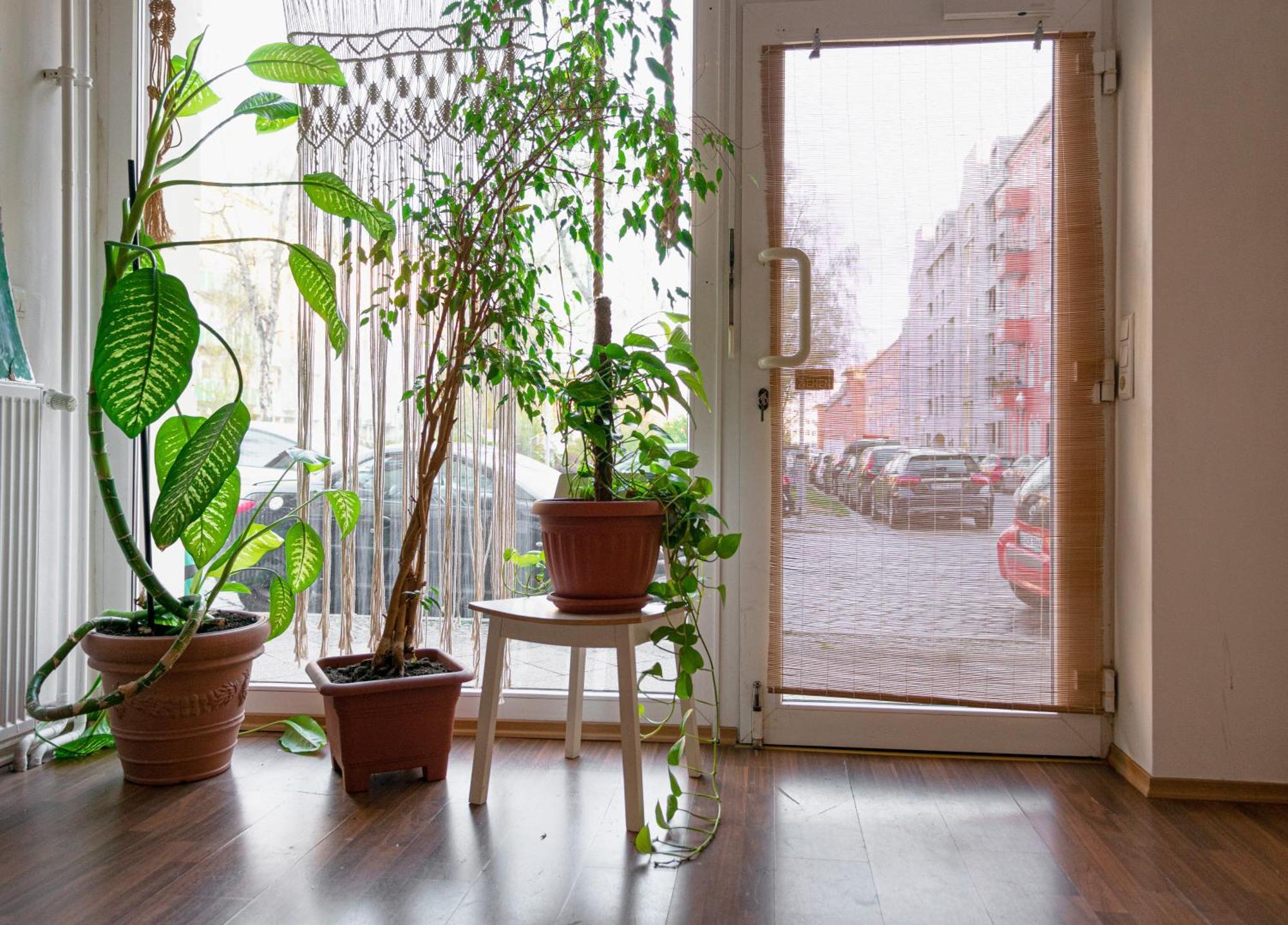 Boutique Altbau Apartment Берлін Екстер'єр фото